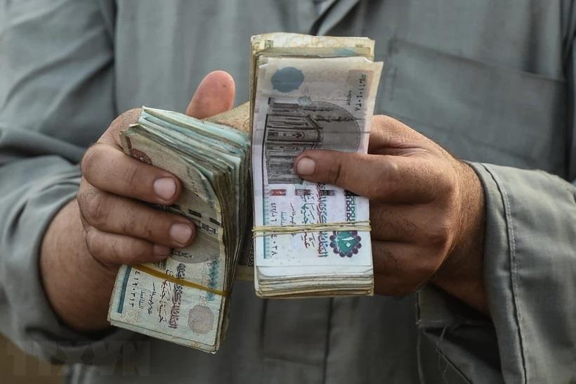 Đồng bảng Ai Cập mất 33% giá trị ngay sau quyết định thả nổi tỷ giá hối đoái