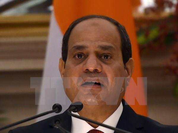 Ai Cập: Hơn 290 người bị xét xử vì âm mưu ám sát Tổng thống El-Sisi