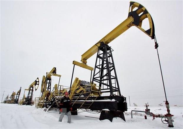 Bộ Năng lượng Nga sẽ thực hiện các biện pháp để hạn chế giảm giá dầu