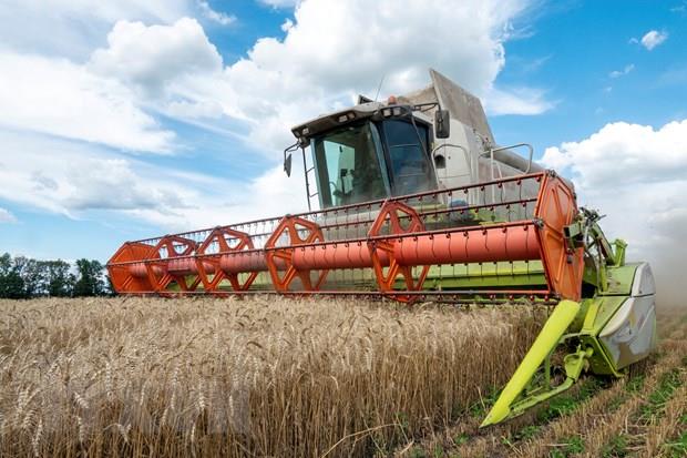EU lạc quan về triển vọng đạt được thỏa thuận quá cảnh ngũ cốc Ukraine