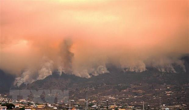Tình hình cháy rừng diễn biến phức tạp ở Tây Ban Nha và Hy Lạp