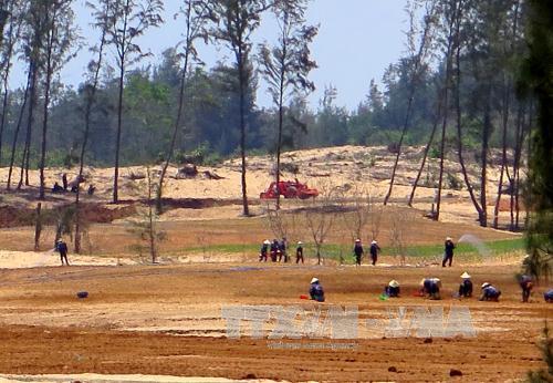 Thủ tướng yêu cầu làm rõ phản ánh phá rừng phòng hộ tại Phú Yên