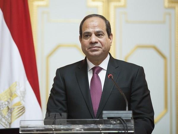 Ai Cập: Chỉ có một ứng viên chạy đua với Tổng thống El-Sisi