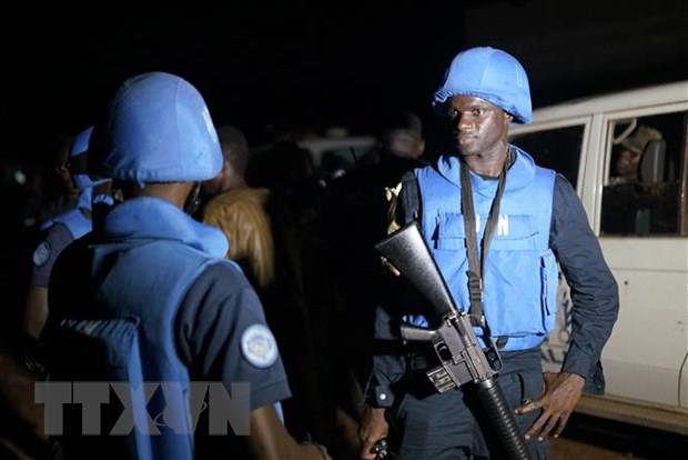 LHQ: Số binh sỹ Côte d'Ivoire bị bắt ở Mali không phải lính đánh thuê