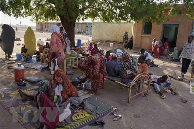 42% dân số Sudan trong tình trạng mất an ninh lương thực nghiêm trọng