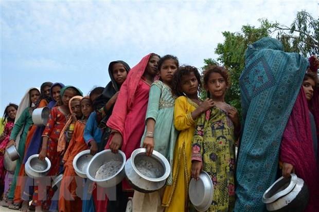 Pakistan: Sẽ không tuyên bố vỡ nợ, bất chấp khó khăn do lũ lụt