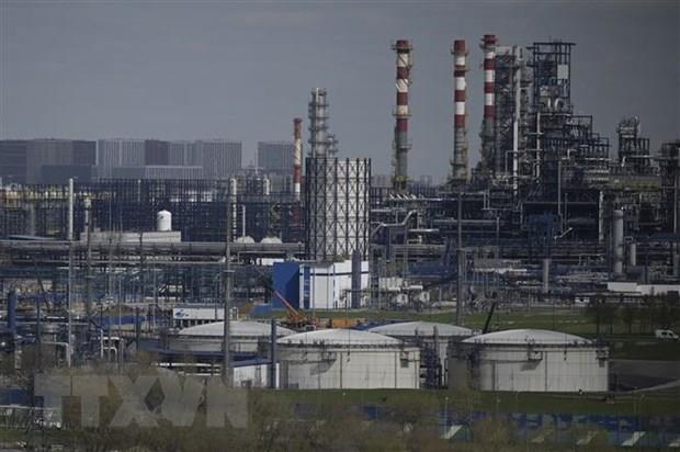 Lợi nhuận ròng của tập đoàn Gazprom Nga sụt giảm mạnh