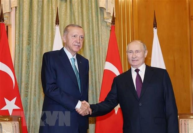 Nga-Thổ Nhĩ Kỳ đạt thỏa thuận về 1 triệu tấn ngũ cốc cho châu Phi