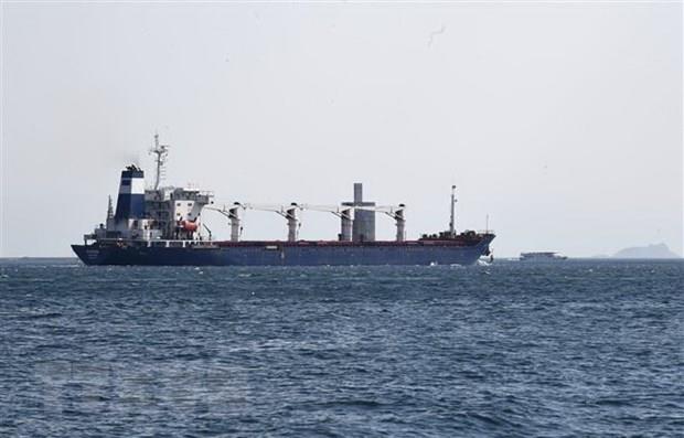 Thêm 10 tàu chở ngũ cốc chuẩn bị rời cảng của Ukraine trên Biển Đen