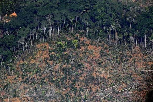 Brazil chi 410 triệu USD để phòng, chống tội phạm tại Amazon
