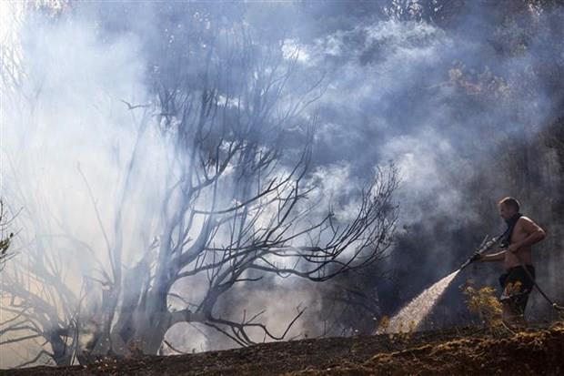 Hy Lạp nỗ lực khống chế cháy rừng nghiêm trọng nhất mùa Hè tại châu Âu