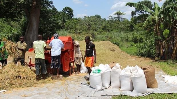 AfDB tài trợ 5,12 triệu USD cho chương trình lương thực của Liberia