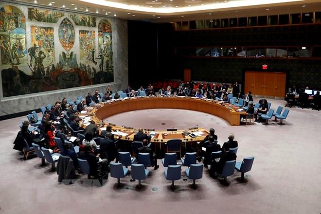 HĐBA không thông qua 2 dự thảo nghị quyết về Syria của Mỹ và Nga