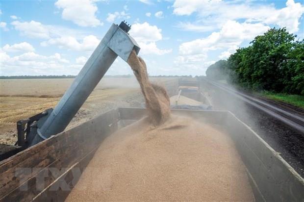 Ủy ban châu Âu gia hạn các biện pháp hạn chế nhập khẩu ngũ cốc Ukraine
