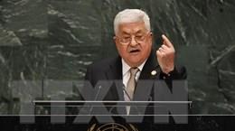 Tổng thống Palestine sẽ tới Ai Cập bàn về hòa bình Trung Đông