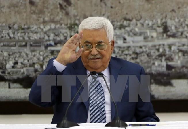 Palestine tìm kiếm bảo trợ quốc tế mới cho tiến trình hòa bình Trung Đông