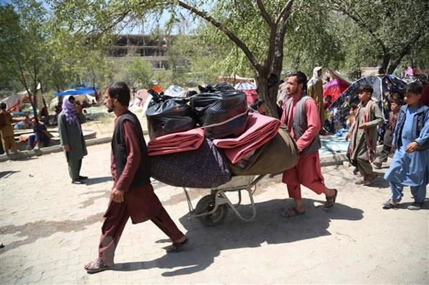 LHQ: Gần 400 dân thường bị sát hại kể từ khi Taliban nắm quyền