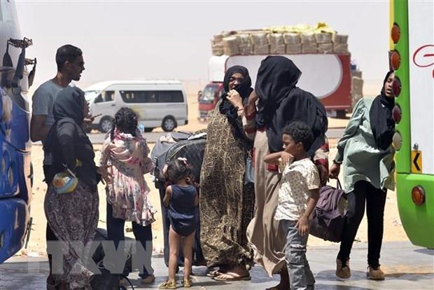 LHQ và EU chuyển 27 tấn hàng cứu trợ tới Ai Cập hỗ trợ người tị nạn