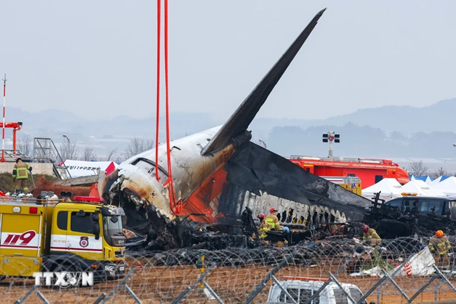 Va chạm với chim có phải là nguyên nhân gây ra vụ tai nạn máy bay Jeju Air ở Hàn Quốc?