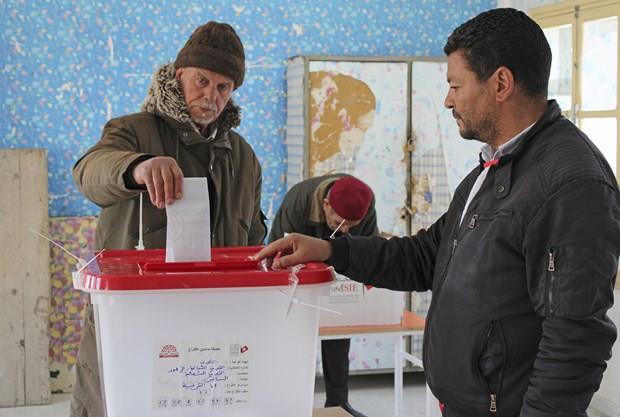 Bầu cử Tunisia: Tỷ lệ bỏ phiếu ở mức thấp kỷ lục