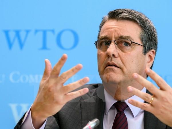 WTO: Mối đe dọa về bảo hộ trên toàn cầu không nghiêm trọng