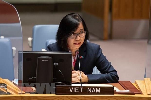 Việt Nam đánh giá cao đóng góp của UNAMID trong bảo đảm an ninh