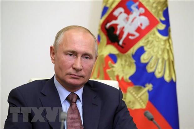 Ông Putin hủy cuộc đối thoại thường niên với người dân trong năm 2020