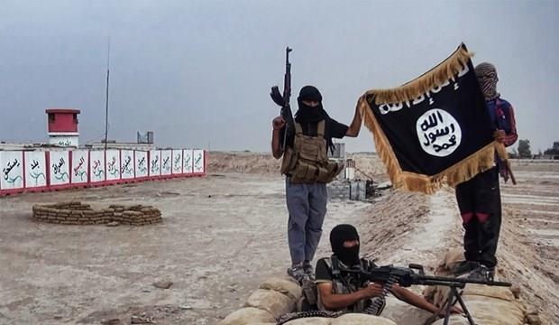 Liên quân chống Nhà nước Hồi giáo IS sắp nhóm họp tại Washington