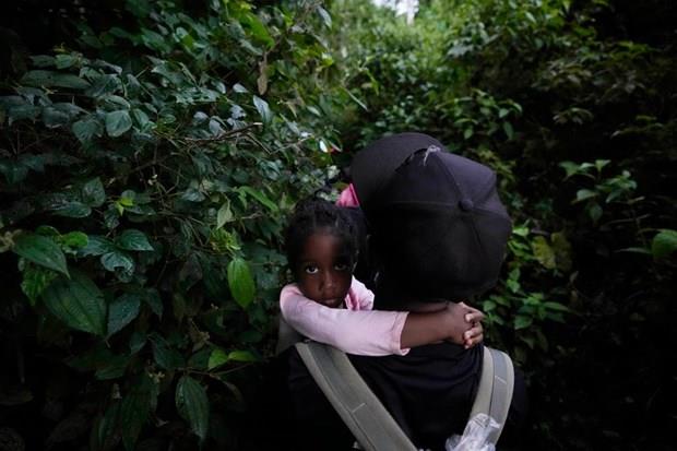Số trẻ em di cư vượt biên giới Panama-Colombia cao chưa từng thấy