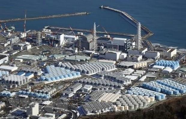 Nhật Bản: TEPCO tham vấn ngư dân về xả thải nhà máy điện Fukushima