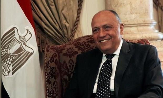Ai Cập và Nga chia sẻ lập trường về vấn đề Palestine