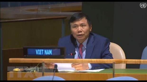 Việt Nam thúc giục các bên tại Trung Phi tôn trọng cam kết hòa bình