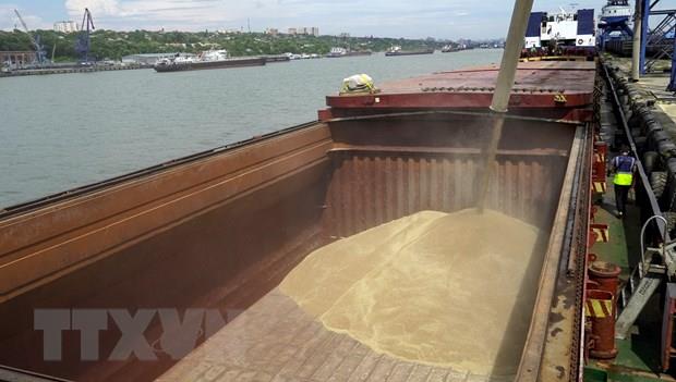 Tàu chở 25.000 tấn lương thực Nga viện trợ cho châu Phi rời cảng