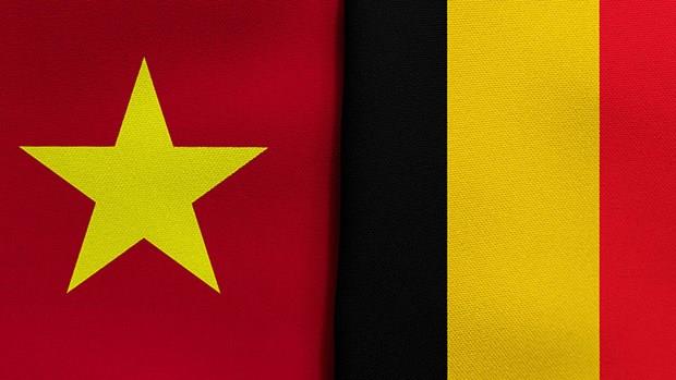Triển vọng hợp tác trên nhiều lĩnh vực giữa Bỉ và Việt Nam