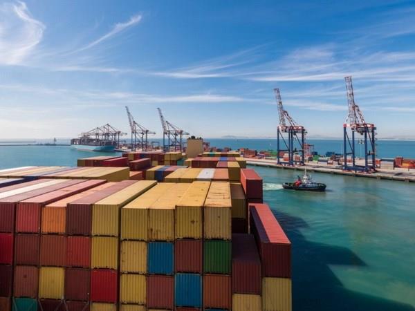 Hệ thống cảng container lớn ở Nam Phi ngừng hoạt động do tấn công mạng