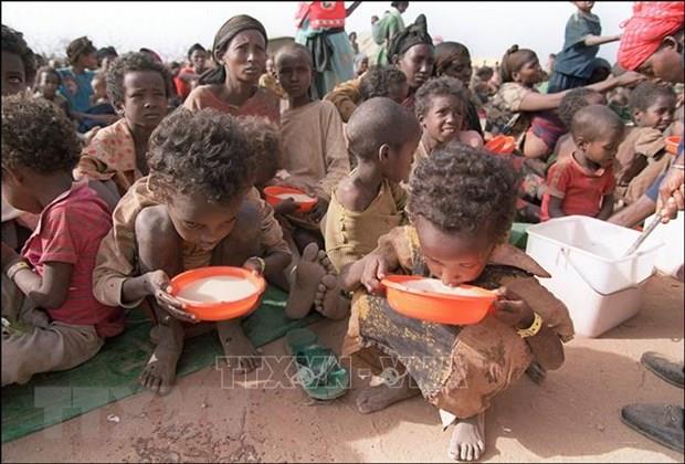 Tây Phi đối mặt nạn đói gia tăng do thánh chiến và bạo lực