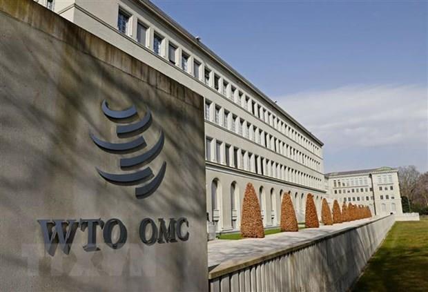 WTO triệu tập lại Hội nghị Bộ trưởng lần thứ 12 vào giữa tháng Sáu