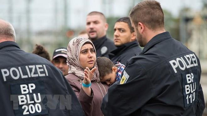 Đức sửa đổi dự luật về đoàn tụ gia đình cho người tị nạn