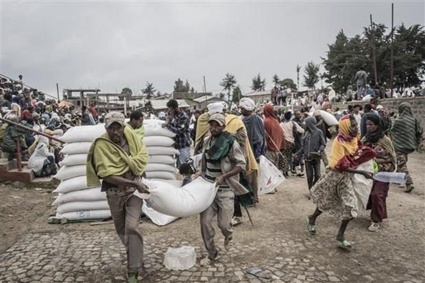 EU kêu gọi viện trợ cho nước bị ảnh hưởng khủng hoảng lương thực