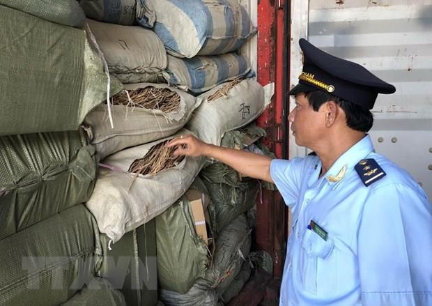 Đà Nẵng: Phát hiện 5 container nghi là dược liệu nhập lậu
