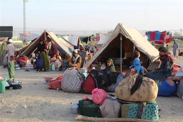 LHQ cảnh báo ít nhất 1/3 dân số Afghanistan bị đói khi mùa Đông đến
