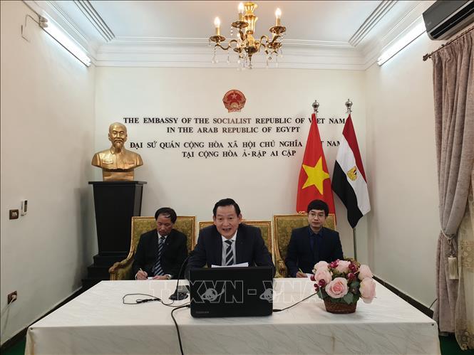 Hội thảo trực tuyến về Chủ tịch Hồ Chí Minh tại Ai Cập