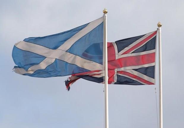 Anh sẽ không ngăn cản Scotland tổ chức trưng cầu ý dân về độc lập
