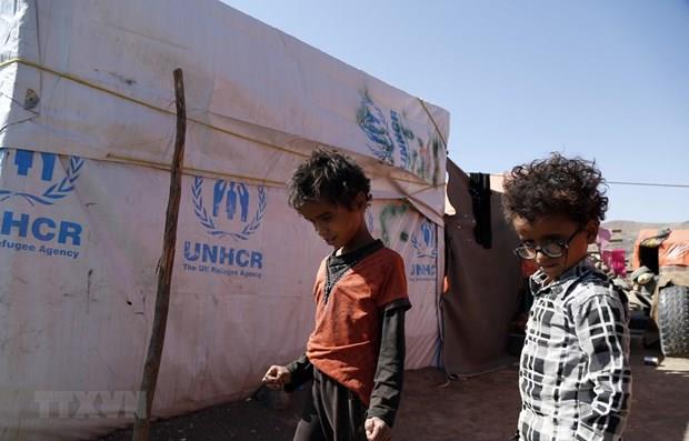 Mỹ kêu gọi quốc tế thực hiện cam kết hỗ trợ nhân đạo cho Yemen