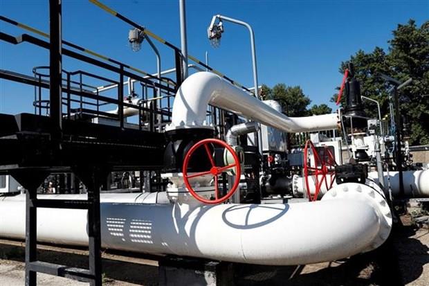 Ấn Độ khuyến nghị các công ty mua dầu Nga theo “khối lượng lớn”