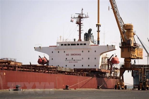 Nga nêu điều kiện gia hạn thỏa thuận xuất khẩu ngũ cốc qua Biển Đen