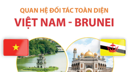 [Infographics] Quan hệ đối tác toàn diện Việt Nam-Brunei