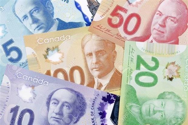 RBC: Tỷ lệ vỡ nợ của người tiêu dùng Canada có thể tăng gần 30%