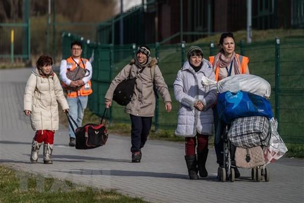 Ukraine: Hơn 870.000 người sơ tán do xung đột đã hồi hương