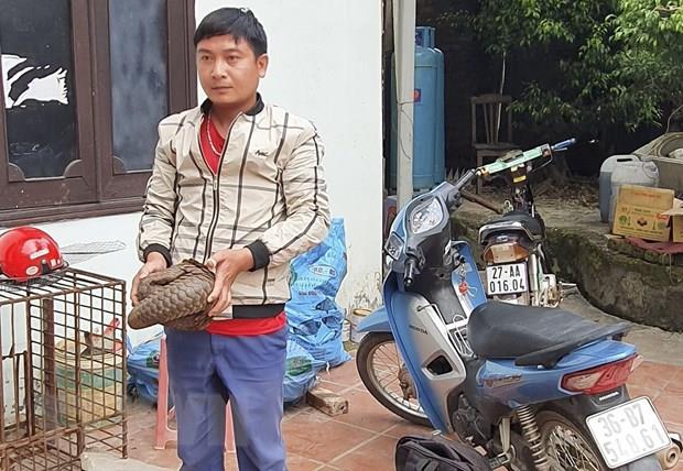 Điện Biên: Bắt giữ 2 đối tượng vận chuyển trái phép động vật hoang dã